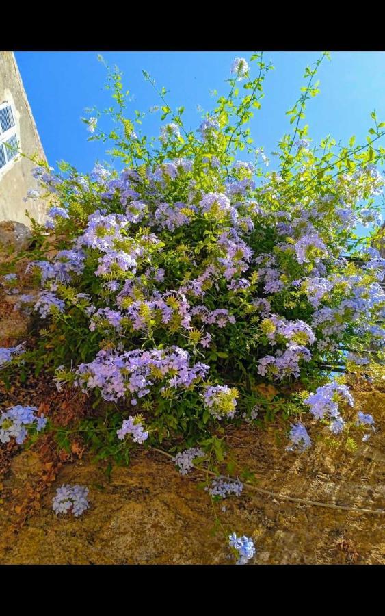 City Walls Sea View コルフ島 エクステリア 写真